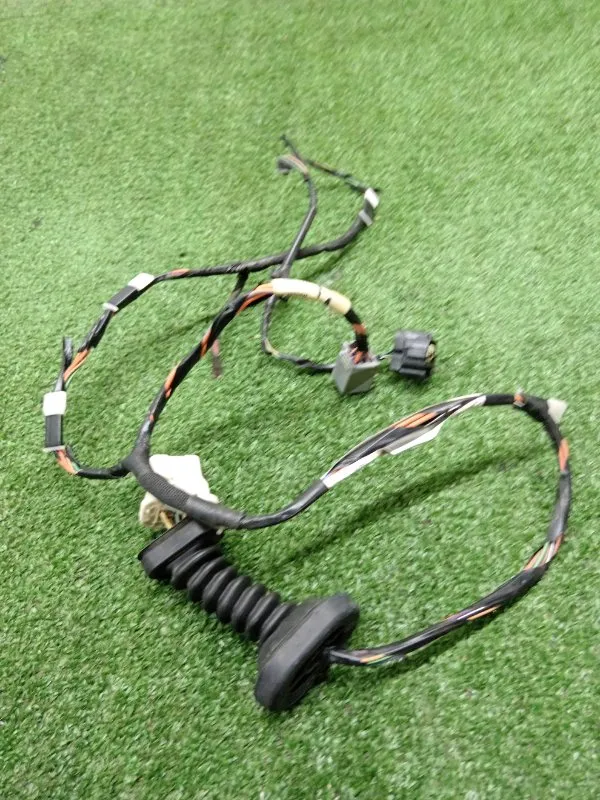 Проводка двери