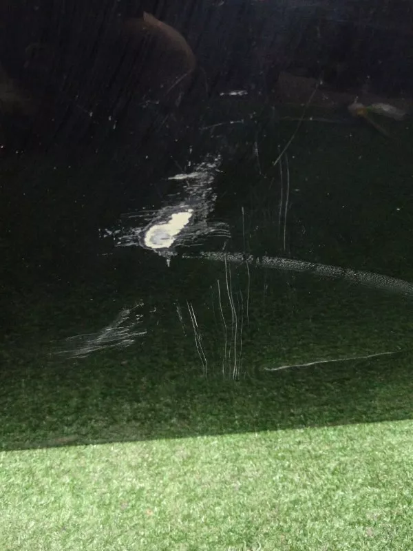 Дверь BMW 3-Series 2008 41007203644 E90, передняя правая