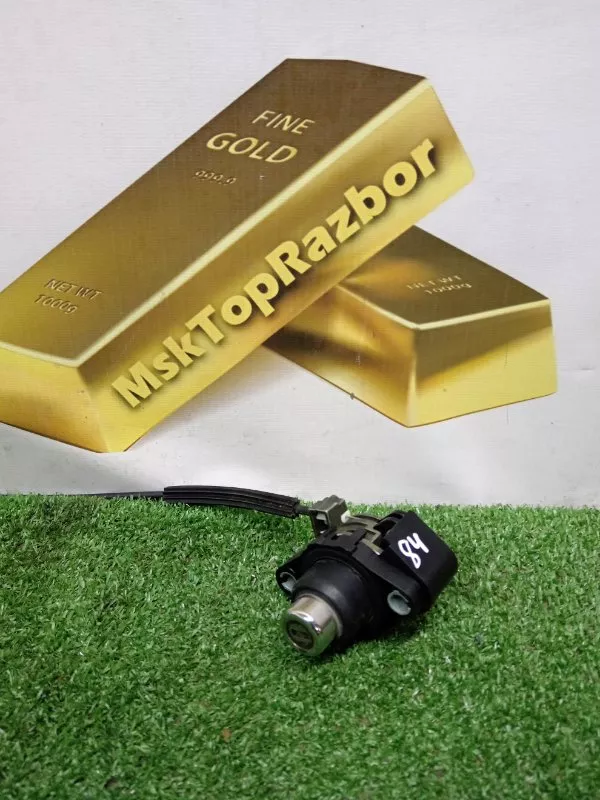 Личинка замка багажника