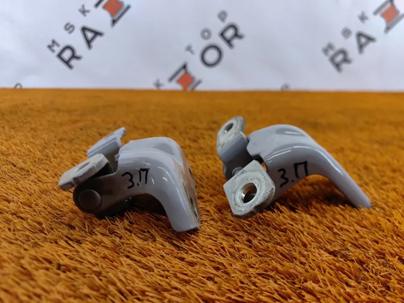 Петля двери