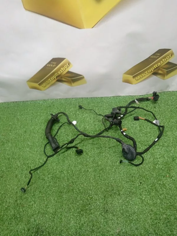 Проводка двери