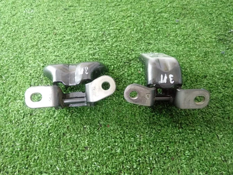 Петля двери