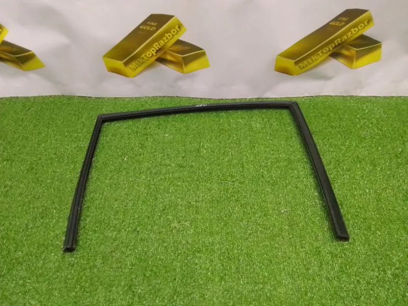 Уплотнитель стекла двери