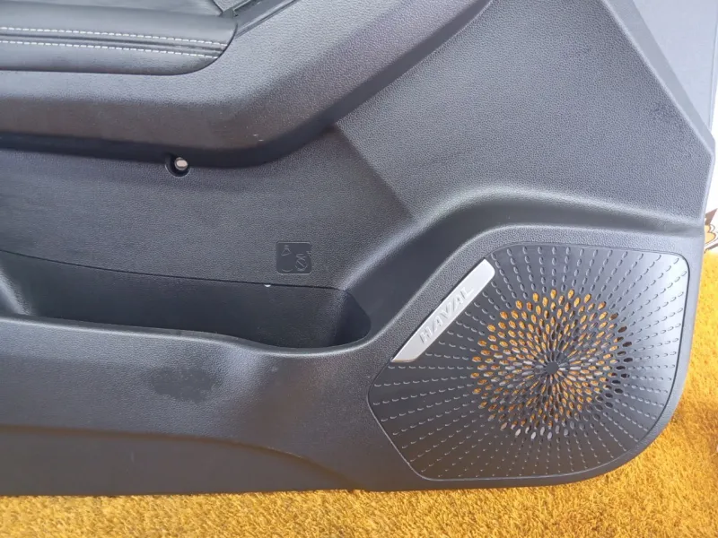 Обшивка двери