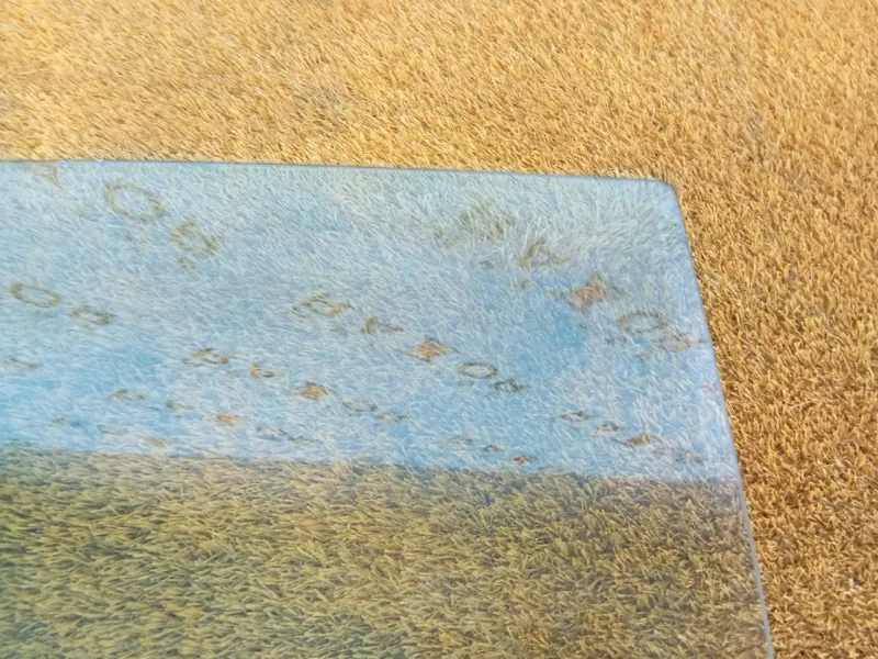 Стекло двери