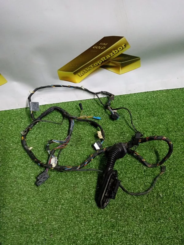 Проводка двери