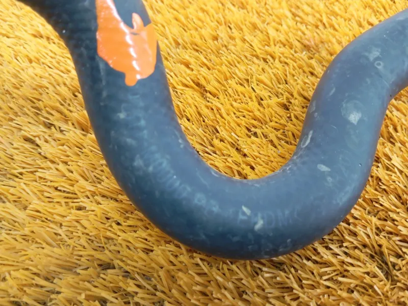 Патрубок радиатора