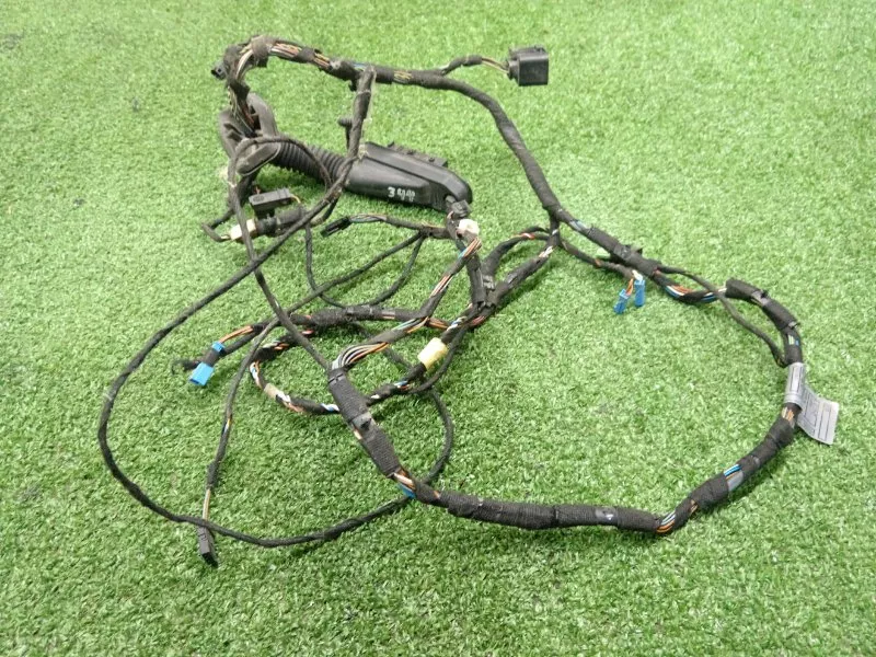 Проводка двери