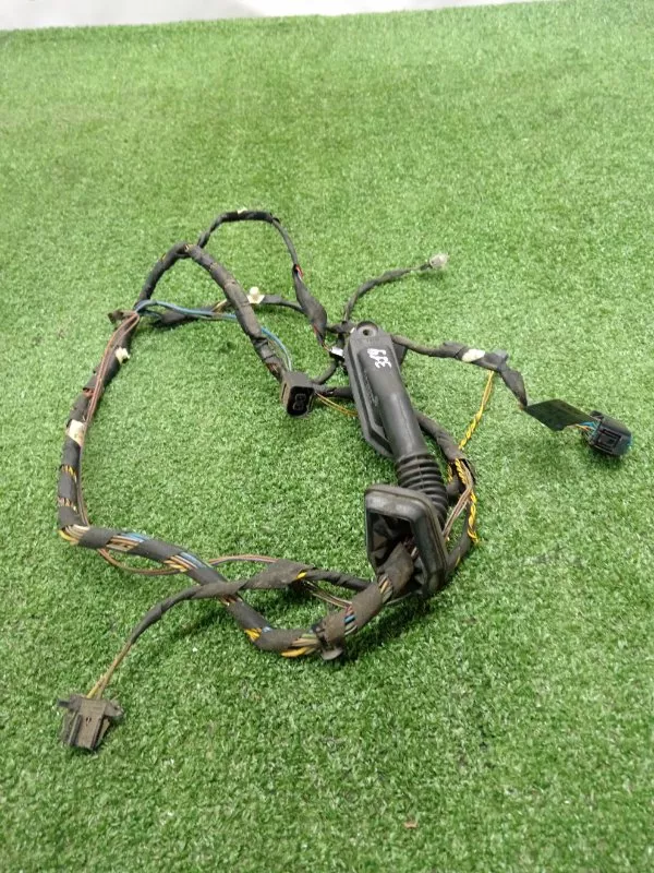 Проводка двери