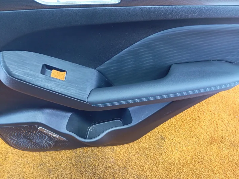 Обшивка двери