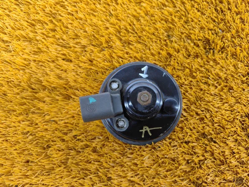 Звуковой сигнал