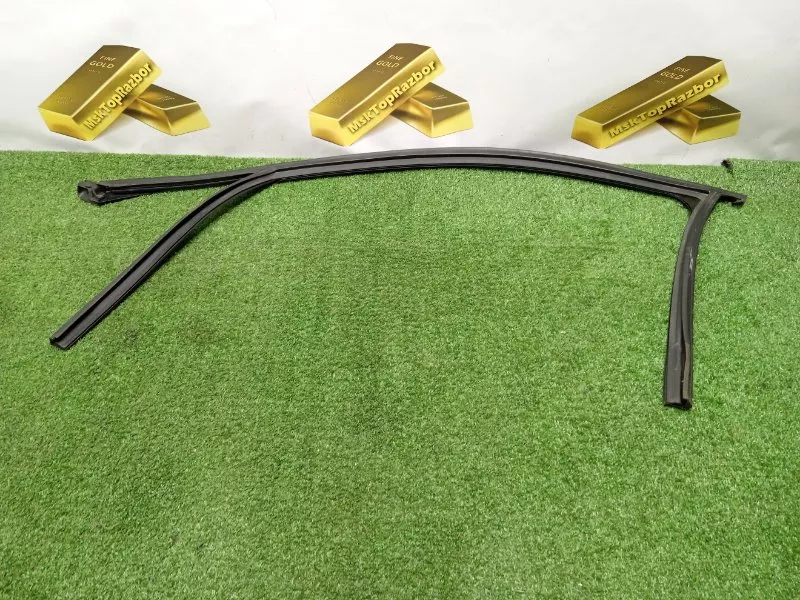 Уплотнитель стекла двери