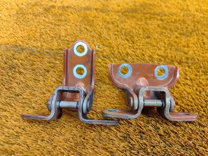 Петля двери