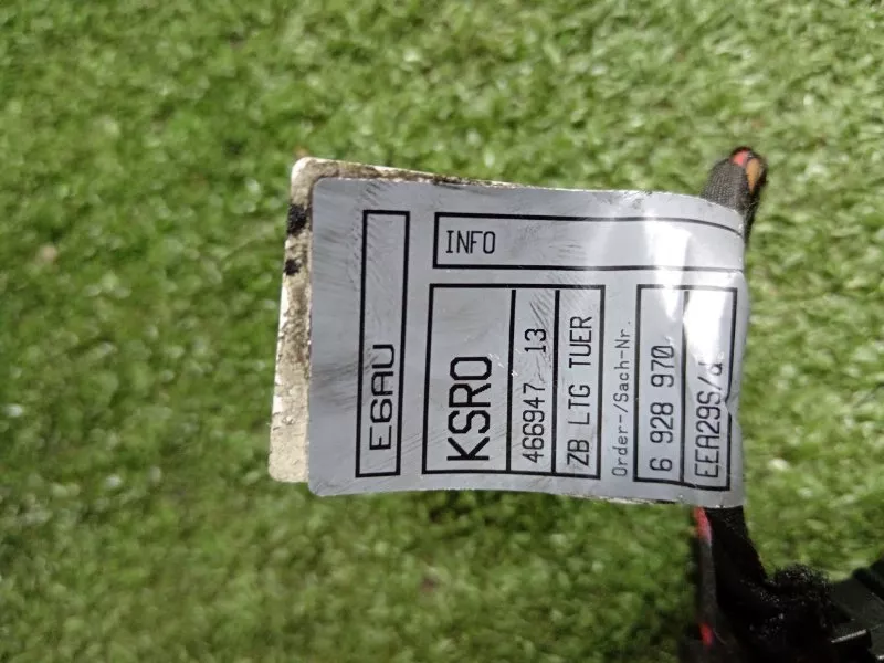 Проводка двери BMW 6-Series 2005 61126973905 E63/E64, передняя правая