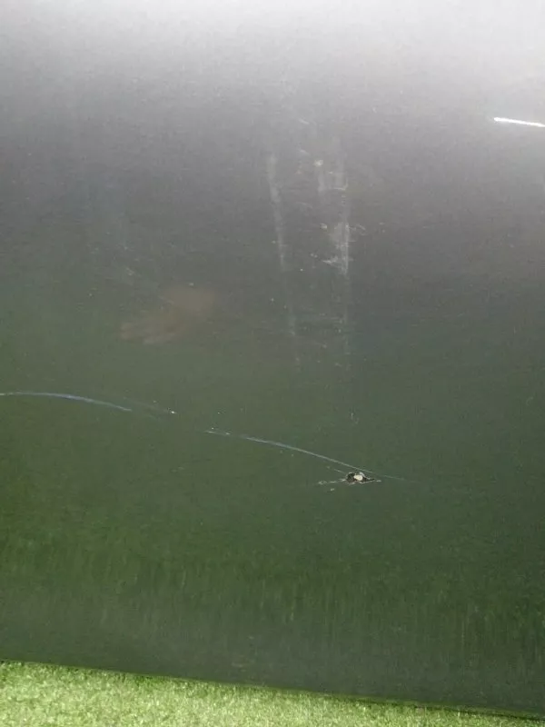 Дверь BMW 5-Series 2011 41007206113 F10, задняя левая