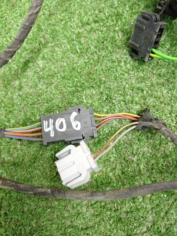 Проводка двери