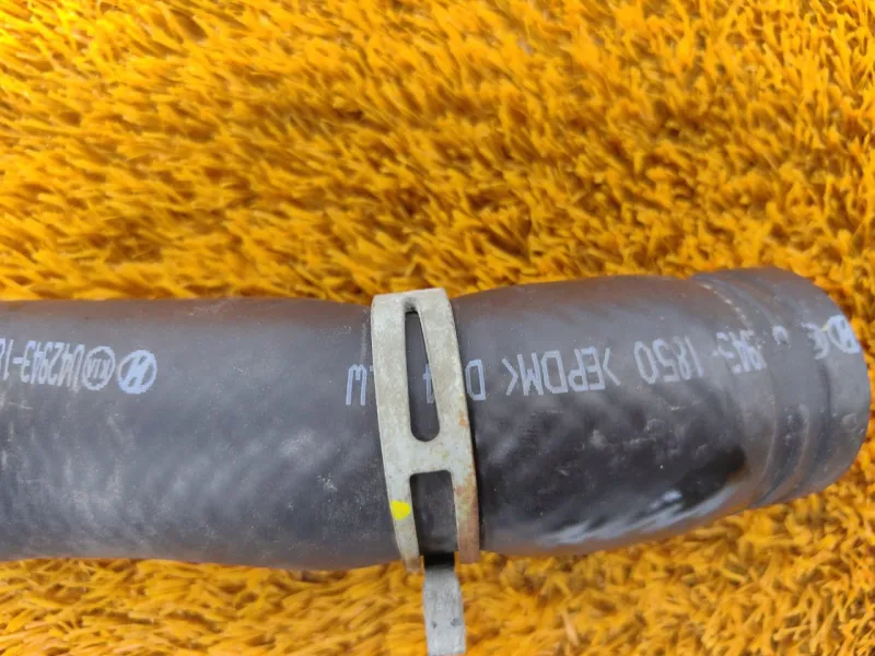 Патрубок радиатора