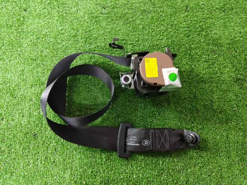 Ремень безопасности