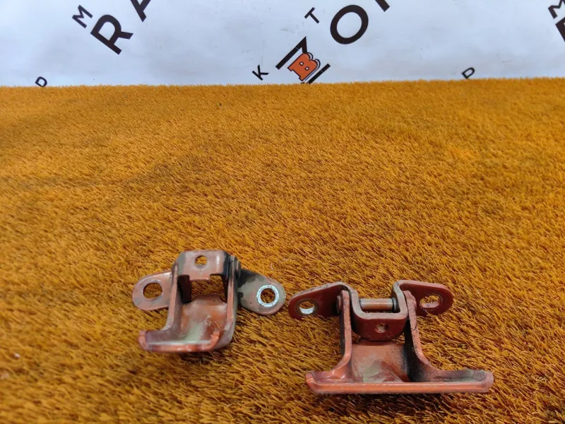 Петля двери