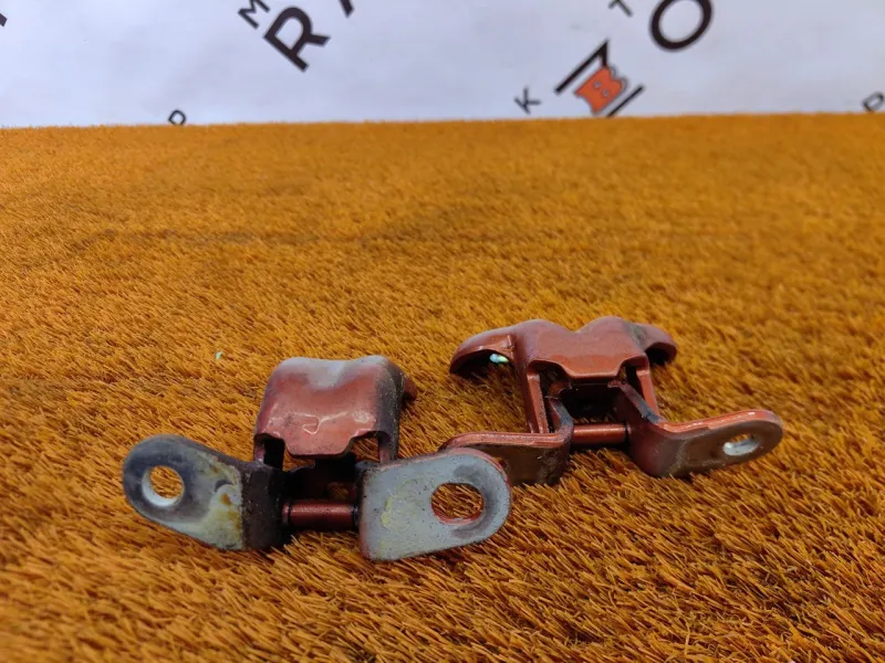 Петля двери