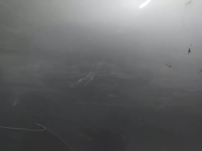 Дверь BMW 5-Series 2004 41517202340 E60, передняя правая