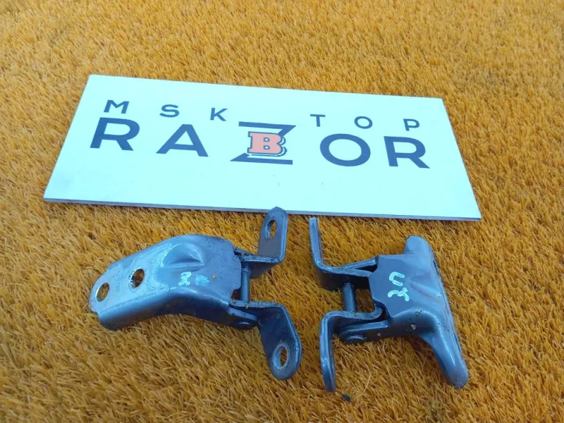 Петля двери