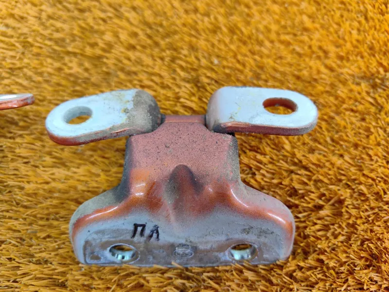 Петля двери