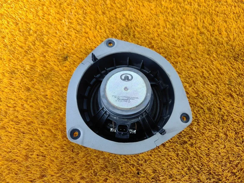 Динамик двери