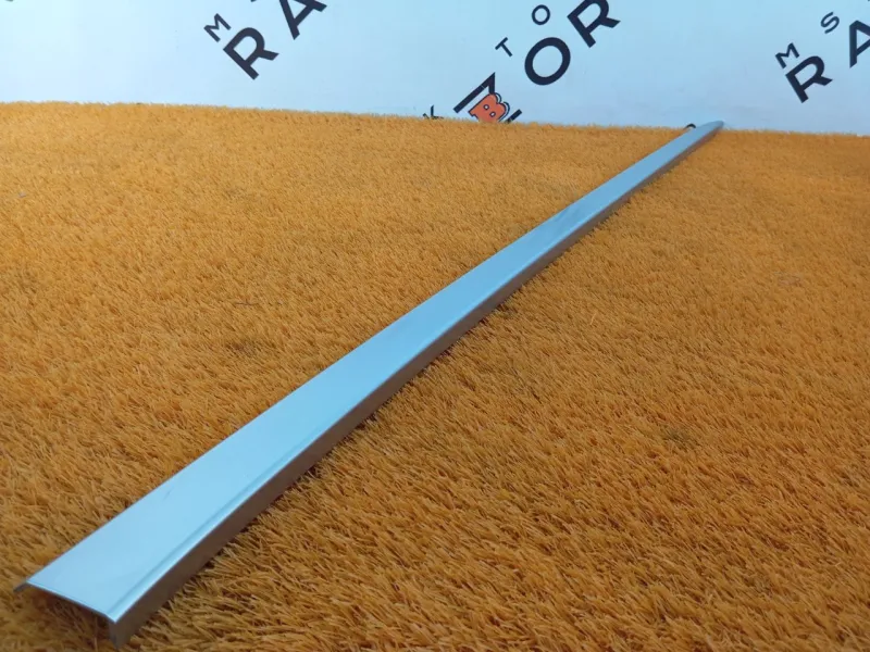 Молдинг крыши