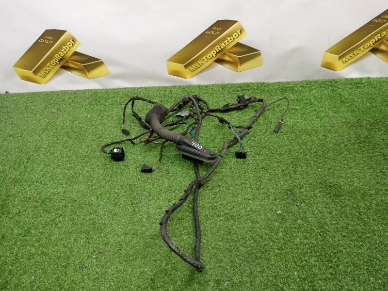 Проводка двери